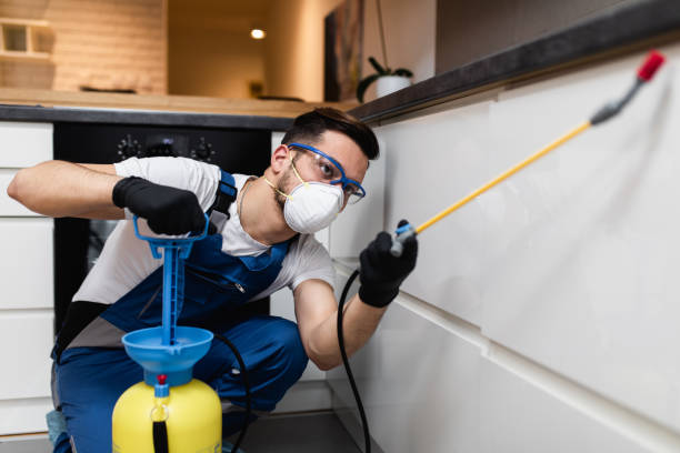 Best Pest Inspection Near Me  in Southside, AR