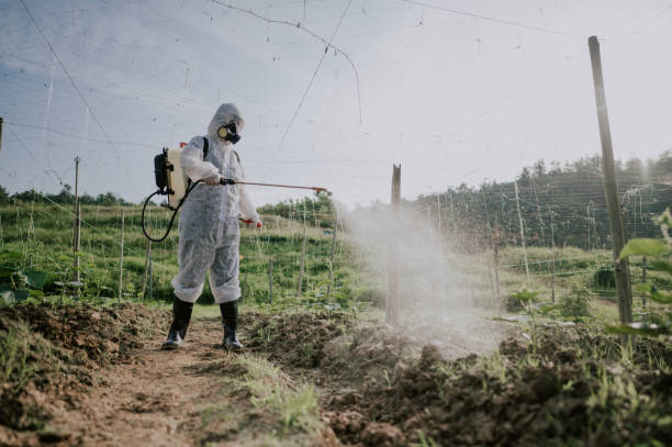 Best Best Pest Control Companies  in Southside, AR