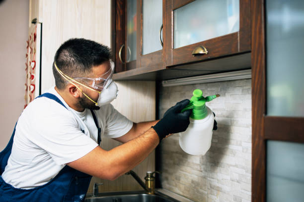 Flea Control Services in Southside, AR