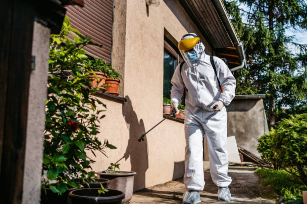 Best Affordable Pest Control Services  in Southside, AR