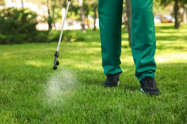 Best Mosquito Control Services  in Southside, AR